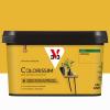  COLORISSIM SAT CURCUMA 2.5L 