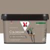  COLORISSIM SAT TAUPE 2.5L 