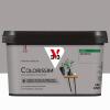  COLORISSIM SAT GRIS BETON 2.5L 