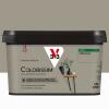  COLORISSIM SAT ARGILE KA 2.5L 