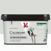  COLORISSIM SAT GRIS PLAT 2.5L 