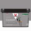  COLORISSIM SAT GRIS ZINC 2.5L 
