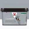  COLORISSIM SAT GRIS ACIER 2.5L 