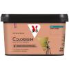  COLORISSIM MAT FARD JOUE 2.5L 