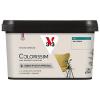  COLORISSIM MAT GRIS PERLE 2.5L 