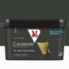  COLORISSIM MAT GRIS CHAR 2.5L 