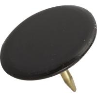  PUNAISES NOIRS 