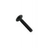  BOULON X2 TRCC NOIR 7X70 
