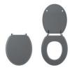  ABATTANT COLOR LINE GRIS CLAIR 
