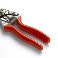 SECATEUR COUPE FRANCHE    OGAN 